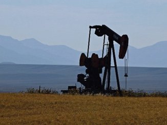 Global Pandemic, Capitalist Crisis & Bitter Class Polarisation in the US